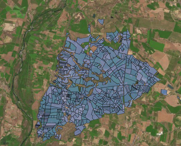 Texto de Odoo y bloque de imagen